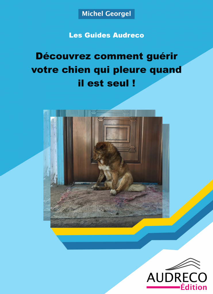 Guide, Découvrez comment guérir votre chien qui pleure quand il est seul !