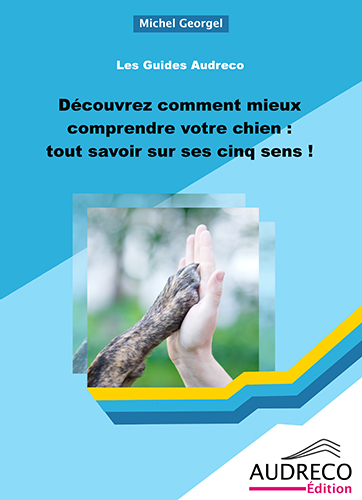 Guide : Découvrez comment mieux comprendre votre chien : tout savoir sur ses cinq sens ! 