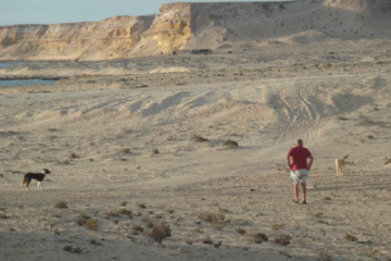 L’auteur avec deux chiens sans maître (Sud Maroc)