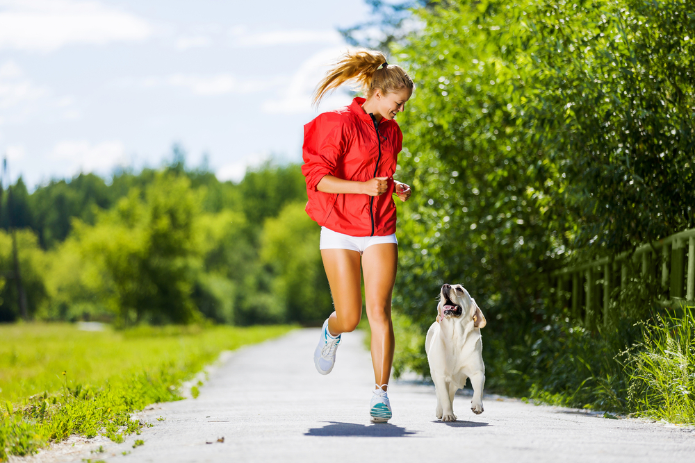 Footing avec son chien