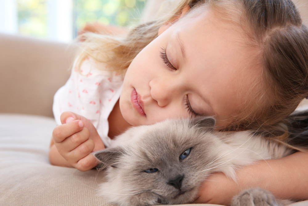 Le chaton et la petite fille