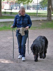 Education canine : tout à repenser !