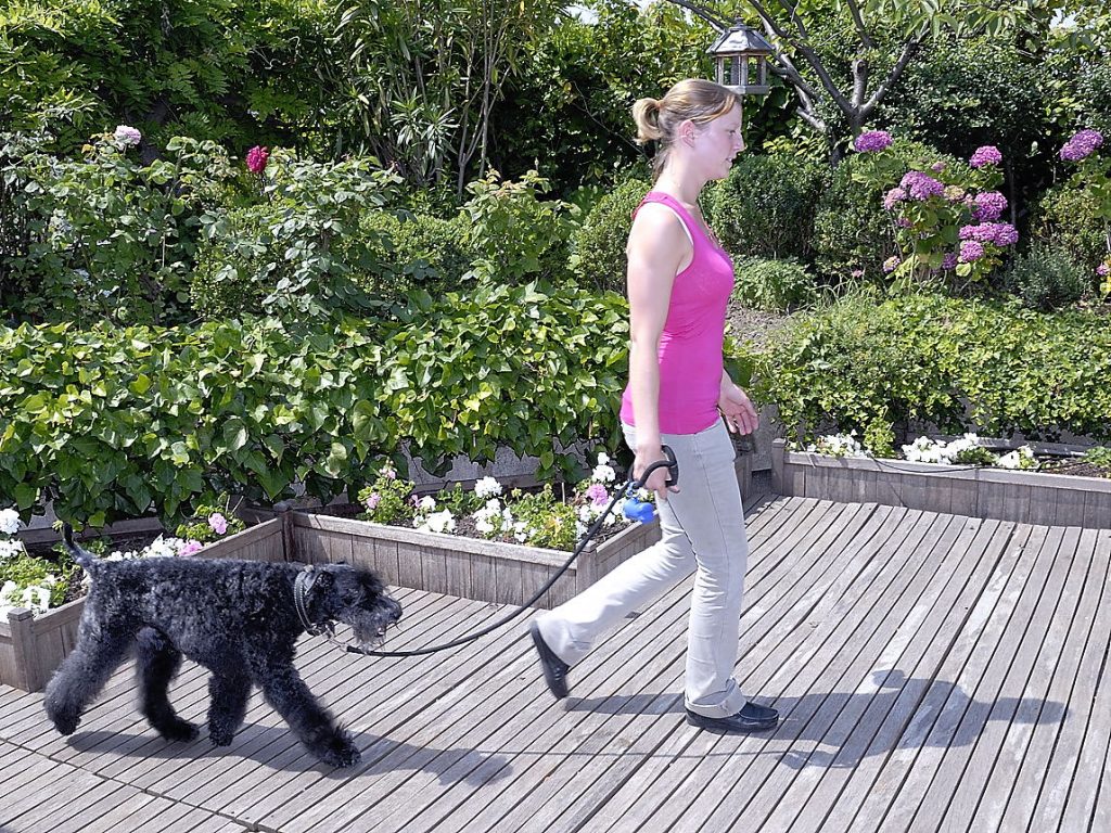 Information sur le chien : un conducteur et son chien parcourent un même espace dans deux environnements sonores complètement différents !