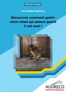 Comment guérir votre chien qui pleure quand il est seul ! 