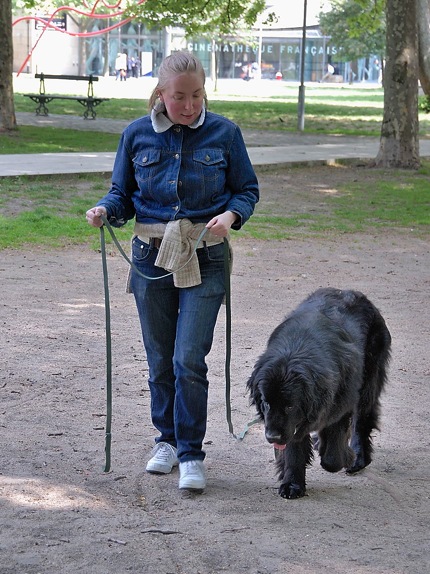 Chien en laisse : la manque l'on donne à l'enfant