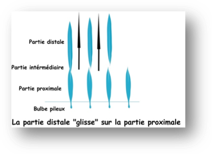 Comprendre un aspect important du trimming