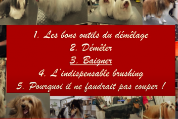 5 petits conseils des Ateliers d'Audreco