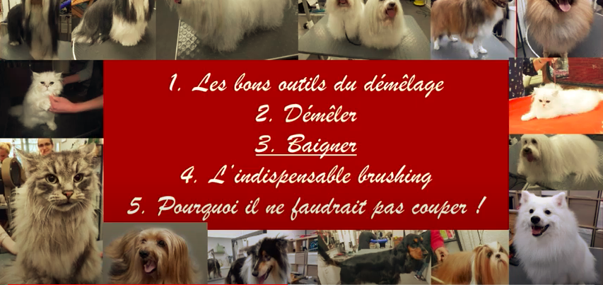 5 petits conseils des Ateliers d'Audreco