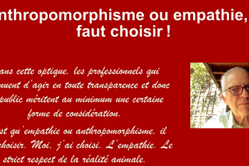 Anthropomorphisme : savoir résister et dire non !